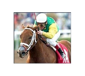 Dance Daily and jockey Jon Court score a narrow victory in the Santa Ynez Stakes, Monday at Santa Anita.