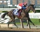 Juvenile Fillies Preview: Bucking History Juvenile Fillies Preview: Bucking History
