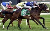 Aqueduct Review: Another Improbable Comeback Aqueduct Review: Another Improbable Comeback