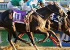 Giant Oak Moderate Choice in Risen Star Giant Oak Moderate Choice in Risen Star