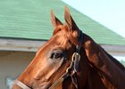 Dortmund gave California Chrome the stiffest of challenges in the 2016 San Diego