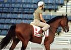 Puerto Madero, working at the Nad Al Sheba race track in Dubai last March.