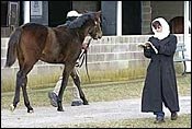 Keeneland January Sale Opens Five-Day Run Monday Keeneland January Sale Opens Five-Day Run Monday