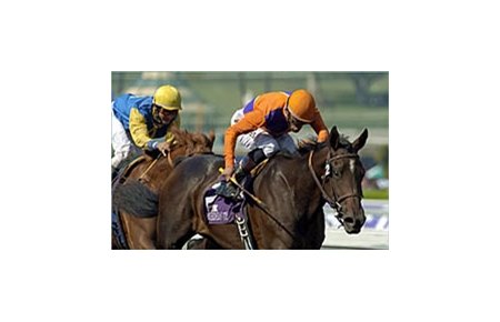 Action This Day finishes ahead of stablemate Minister Eric in come-from-behind Juvenile strike for trainer Richard Mandella.