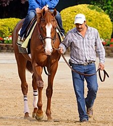 Shake Shack Along for Ride With Shackleford Shake Shack Along for Ride With Shackleford
