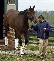 Sweet Catomine Retired; Will Be Bred to A.P. Indy Sweet Catomine Retired; Will Be Bred to A.P. Indy