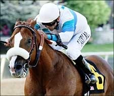 Bordonaro Overpowers Count Fleet Sprint H. Bordonaro Overpowers Count Fleet Sprint H.
