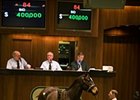 Harlan's Holiday Filly Sells for $400,000 Harlan's Holiday Filly Sells for $400,000