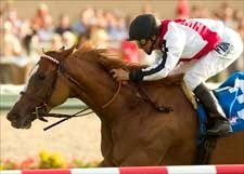 Passified Won't Be Appeased in San Clemente Win Passified Won't Be Appeased in San Clemente Win