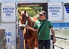 I'll Have Another arrives at Belmont Park.
<a href="http://photos.bloodhorse.com/AtTheRaces-1/at-the-races-2012/22274956_jFd5jM#!i=1857593736&k=8s9qff3" >Order This Photo.<a>