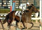 Nobiz Like Shobiz Hits Big Time in Remsen Nobiz Like Shobiz Hits Big Time in Remsen