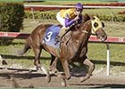 Jackpot Hits it Big in Gulfstream Park 'Cap Jackpot Hits it Big in Gulfstream Park 'Cap