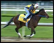 Derby Contenders Work; Flying Dash Out of Consideration Derby Contenders Work; Flying Dash Out of Consideration