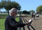 OBS March Sale