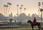 The Pro-Ride surface at Santa Anita has attracted 26 horses from Europe to the Breeders' Cup.