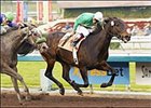 Star Parade goes for repeat in Sunday's Santa Maria.
