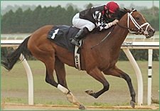 Humorously, Tingwithasting Win Divisions of OBS Championship Stakes Humorously, Tingwithasting Win Divisions of OBS Championship Stakes