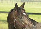 Gone West's Fee Dropped to $85,000 Gone West's Fee Dropped to $85,000