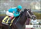 Six-time graded stakes winner Magna Graduate takes on Diamond Stripes in the Meadowlands Cup.<br><a target="blank" href="http://www.bloodhorse.com/horse-racing/photo-store?ref=http%3A%2F%2Fpictopia.com%2Fperl%2Fgal%3Fprovider_id%3D368%26ptp_photo_id%3D979269%26ref%3Dstory">Order This Photo</a>