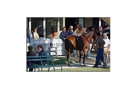Consignors enjoy the success of Keeneland Breeding Stock sale.