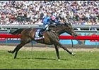Makybe Diva, Australian Horse of the Year.