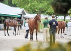 Keeneland Sale Posts Large Gains Sept. 17 Keeneland Sale Posts Large Gains Sept. 17