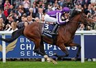 Excelebration Wins QEII On Champions Day Card Excelebration Wins QEII On Champions Day Card