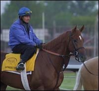 Steve Haskin's Derby Report: Express Train Roars Through Churchill Steve Haskin's Derby Report: Express Train Roars Through Churchill