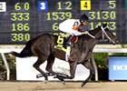 Ahead of Her Time Euthanized Ahead of Her Time Euthanized