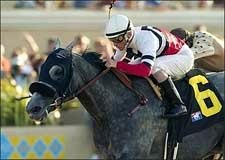Grade I Winner River's Prayer to Sell at Keeneland Grade I Winner River's Prayer to Sell at Keeneland