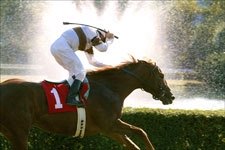 Image result for Old Man Buck Cradle Stakes pics