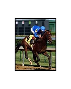 Street Cry decisive winner of Stephen Foster.