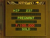 With 6 Days Left, Keeneland Sale Tops 2002 Total With 6 Days Left, Keeneland Sale Tops 2002 Total