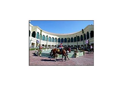 Horses parade around the walking ring at Gulfstream Park Wednesday.