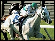 Day, With Anticipation Back in Action at Gulfstream Day, With Anticipation Back in Action at Gulfstream