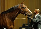 Mary Delaney, winner of the 2007 Vinery Madison Stakes at Keeneland, kicked off the Overbrook Farm dispersal at the Keeneland November auction.