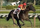 Midnight Lute, Shaun Bridgmohan aboard, wins the Forego Stakes.<br><a target="blank" href="http://www.bloodhorse.com/horse-racing/photo-store?ref=http%3A%2F%2Fpictopia.com%2Fperl%2Fgal%3Fprovider_id%3D368%26ptp_photo_id%3D2161333%26ref%3Dstory">Order This Photo</a>