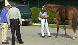 Talk Is Money Works; Vet Exam Labeled Routine Talk Is Money Works; Vet Exam Labeled Routine