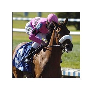 High Limit, with Ramon Dominguez aboard, wins the Louisiana Derby.