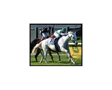 With Anticipation, winning the Man o' War for the second straight year.
