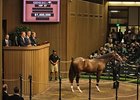 A.P. Indy Colt Rings $1.4M Bell at Keeneland A.P. Indy Colt Rings $1.4M Bell at Keeneland