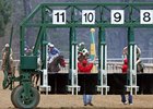 Purse Distributed in Oaklawn Non-Contest Purse Distributed in Oaklawn Non-Contest