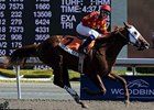 Field Commission pulls away in the Vigil Stakes.