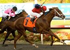 Smiling Tiger kicks off his 4-year-old campaign in the Palos Verdes Stakes.<br><a target="blank" href="http://www.bloodhorse.com/horse-racing/photo-store?ref=http%3A%2F%2Fpictopia.com%2Fperl%2Fgal%3Fprovider_id%3D368%26ptp_photo_id%3D9226489%26ref%3Dstory">Order This Photo</a>
