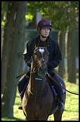 Coolmore Horses Finally Take to Track Coolmore Horses Finally Take to Track