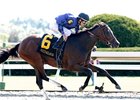 Wild Gams, shown winning the 2007 Thoroughbred Club of America, is back to defend her title in 2008.
