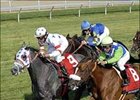 Grade III Turf Stakes Top Haskell Undercard Grade III Turf Stakes Top Haskell Undercard