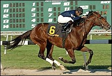 Deputy Glitters Works at Belmont Park; Calm Before the Storm at Churchill Deputy Glitters Works at Belmont Park; Calm Before the Storm at Churchill