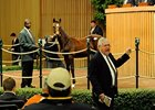 Action continues at the Keeneland November breeding stock sale.