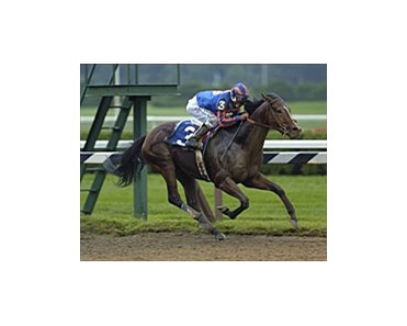 Pomeroy, with Edgar Prado aboard, set a stakes record and missed a track record by a mere two-fifths of a second in winning Saturday's King's Bishop at Saratoga.